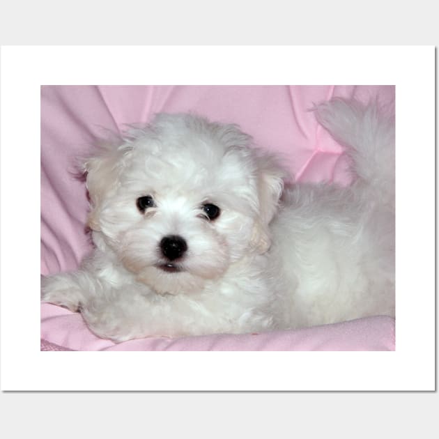 photo puppy pretty in pink Wall Art by mystudiocreate